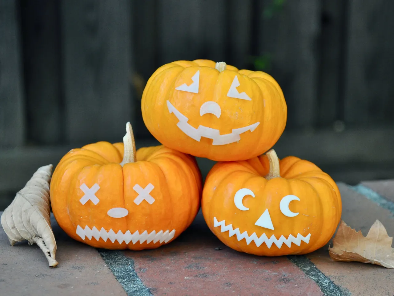 Painted to Perfection: 17 Mini Pumpkin Designs You'll Love 2 35
