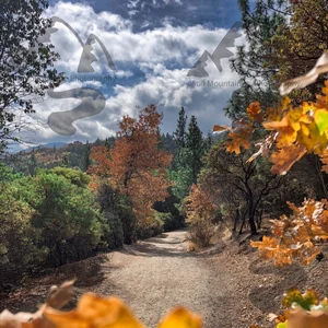 16 Delightful Ways to Savor Fall’s Beauty & Comfort 2 44