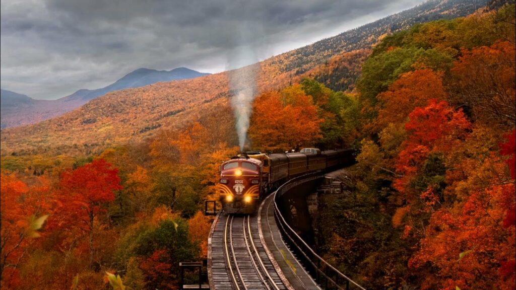 20 Fall Date Ideas That Are Cozy,and amazing 20 12a