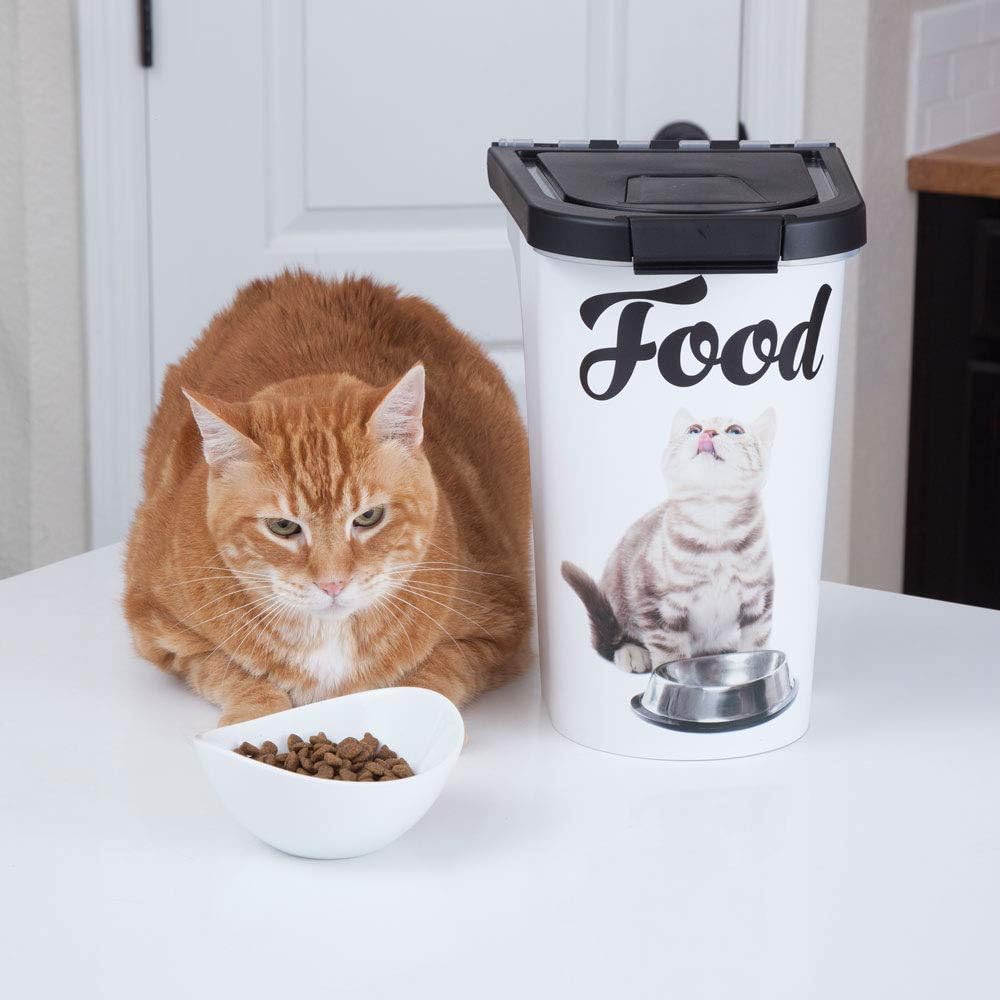 DIY money saving jars with custom labels
Pet Fund Jar with Paw-Print Label