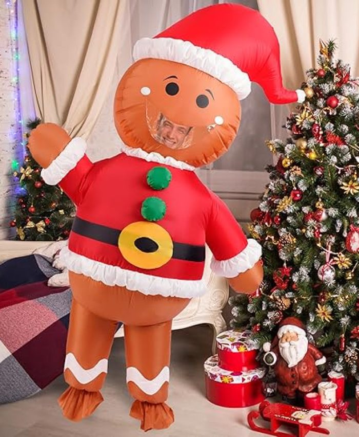  18 disguise a gingerbread man